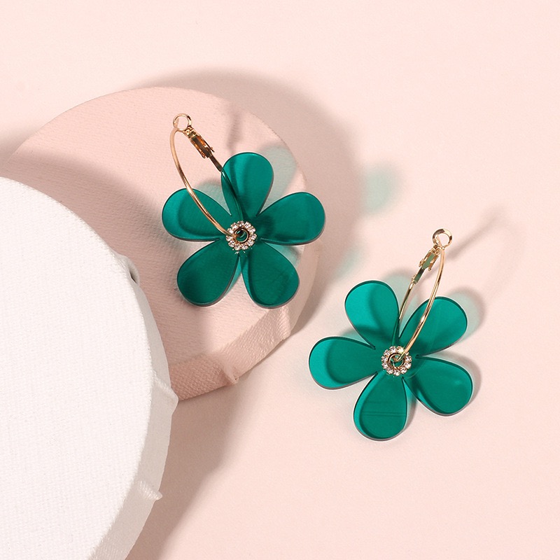 2 Pair,fashion Transparent Acrylic Flower Earrings, Simple Vintage Geometric Circle Earrings