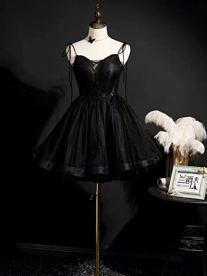 Straps Tulle Chic Party Dress, Beautiful Homecoming Dress With Bead,little Black Dress